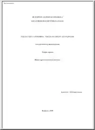 Wittmann Zsófia - Tiszta vizet a