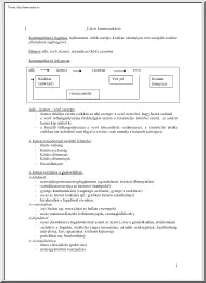 Üzleti kommunikáció vázlat