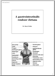 Dr. Benyó Zoltán - A gasztrointesztinális rendszer élettana