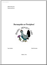 Nagy-Holló - Barangolás az Őrségben