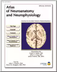 Frank H. Netter - Atlas of Neuroanatomy