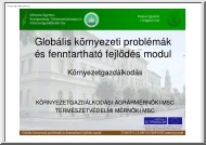 Globális környezeti problémák és