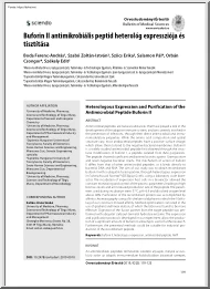 Buforin II antimikrobiális peptid heterológ expressziója és tisztítása