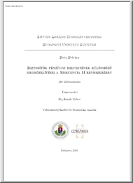 Bota Bettina - Biztosítók pénzügyi helyzetének különböző megközelítései a Szolvencia II. rendszerében