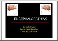 Bereczki Dániel - Encephalopathiák
