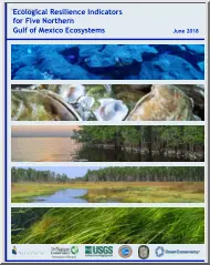 Ecological Resilience Indicators for Five Northern Gulf of Mexico Ecosystems